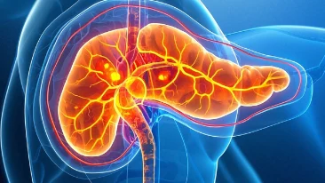 胰腺癌的认识与应对:科学指导与实用建议