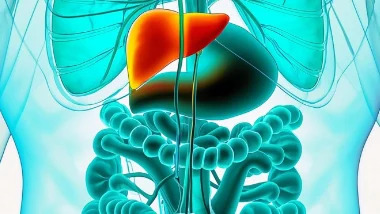 盆腔痛:女性身体里的隐秘警报