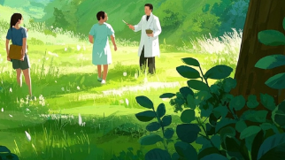 科普,三伏天的中医养生智慧:让健康与时间同行