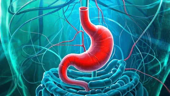 胃窦恶性肿瘤的临床诊疗路径与全程管理策略