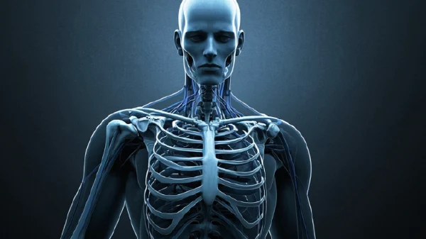 关注肩部健康:肱骨近端骨折与肩关节脱位的防治全解