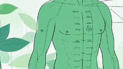 任脉奇妙之旅：中医减重的奥秘与调理方法