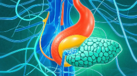 科普，胆道<span style="color: #da4707">支架</span>置入：为生活开辟新的出路