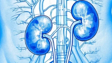 莫忽视腰背痛——警惕输尿管结石对健康的威胁!
