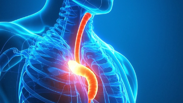 科普，<span style="color: #da4707">食管癌</span>健康指南：核心知识与实用<span style="color: #da4707">建议</span>