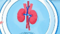 科普，多囊肾病：<span style="color: #da4707">监测</span>与管理的全景图