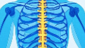 科普，微创脊柱手术：现代<span style="color: #da4707">医疗</span>的灵巧之道
