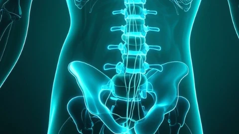腰椎间盘突出与腰椎椎管狭窄:如何远离腰部健康红灯?