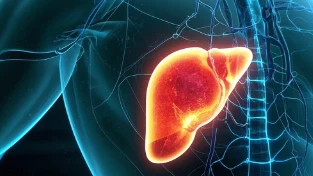 肝硬化患者的麻醉管理与术中安全