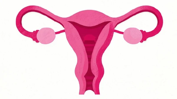 子宫腺肌病——了解这种“隐形杀手”,守护女性健康!