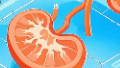 科普，肾性骨病：治疗与<span style="color: #da4707">干预</span>的全景探索