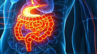 科普，了解<span style="color: #da4707">肠癌</span>：识别、<span style="color: #da4707">诊断</span>与应对 🩺