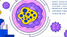 科普，破除迷思：<span style="color: #da4707">HPV</span>疫苗的预防效果与作用原理