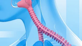 科学应对呼吸道感染:常见症状与治疗方法