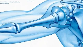 肩袖损伤早期症状及科学应对攻略
