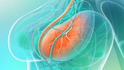 乳腺癌防控全攻略:女性健康新指南