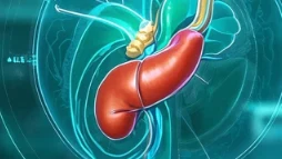 胆囊结石与胆囊炎:现代诊治和健康管理综述