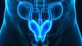 前列腺增生：60岁男性的药物治疗与生活管理技巧