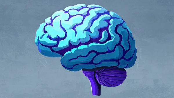 右侧额叶脑膜瘤的全面认识与科学管理