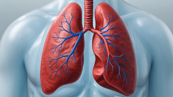 最新治疗方法公开！老年人如何对抗慢性阻塞性肺疾病和下呼吸道感染