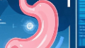 科普，胃肠超声造影：揭秘<span style="color: #da4707">原理</span>、应用与优势