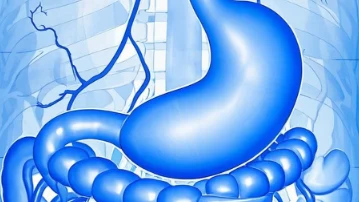 对胃炎说“不”：了解、治疗和预防方法总汇