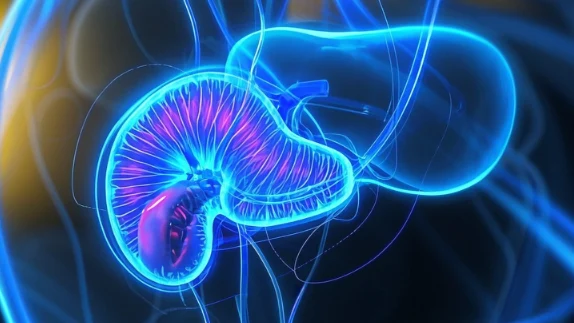 胆囊结石伴慢性胆囊炎的全面解析:从病因到治疗