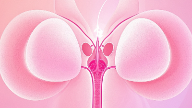 科普，科学应对乳腺癌：类型、症状与治疗全解析封面图