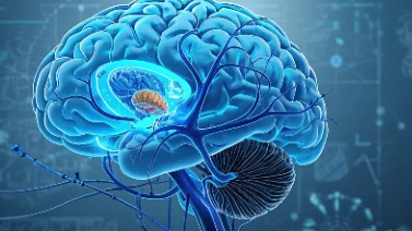 脑肿瘤早发现！症状与科学应对指南