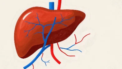 肝癌早发现早治疗:识别症状与科学应对指南