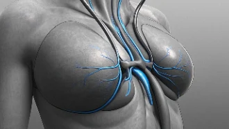 乳腺癌早识别与科学应对:女性必看指南