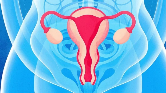 子宫腺肌病:了解它,守护女性健康
