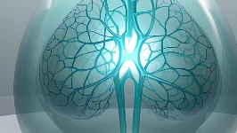 乳腺癌症状与预防:女性的健康指南