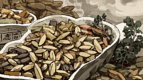 科普，冬季寒流中的<span style="color: #da4707">温热</span>病解析：症状、类型与方剂调理全攻略