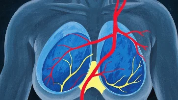 乳腺癌完全指南:识别、治疗与预防