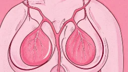 晚期乳腺癌手术麻醉管理：保障安全与恢复