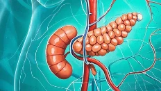胰腺占位性病变与肝脏转移瘤的临床挑战：治疗策略与预后评估