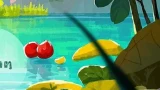 饮食与尿路感染:你不可忽视的防护栏