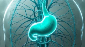 警惕！胃癌的3大早期信号及检查方法