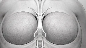 乳腺癌风险识别与应对指南:女性健康必读