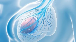 乳腺恶性肿瘤的早期信号与应对指南