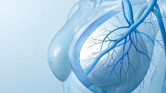 乳腺癌治疗药物选择指南:安全有效的科学用药