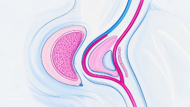 科普，乳腺癌早知道：症状、原因与预防指南封面图