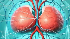 乳腺癌全景指南：症状、诊断与治疗策略