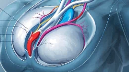 乳腺癌科学应对:女性必读的实用指南