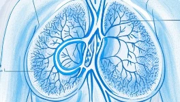 乳腺癌恐惧解除指南：早期信号与预防措施