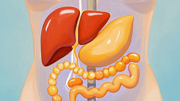 科普，腹膜后<span style="color: #da4707">血肿</span>：病因、诊断与综合管理详解