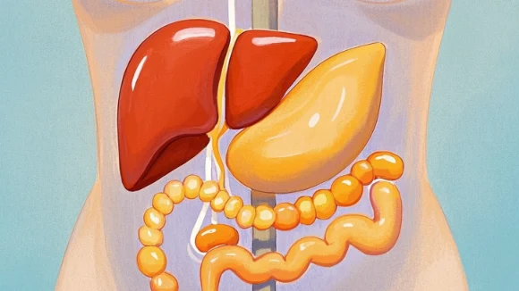 腹膜后血肿:病因、诊断与综合管理详解