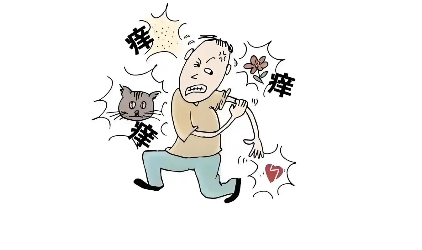 关于慢性荨麻疹：您的身体在告诉您什么？封面图