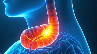 科普，🍀 食管癌健康科普：快速了解风险与<span style="color: #da4707">防护</span><span style="color: #da4707">建议</span>